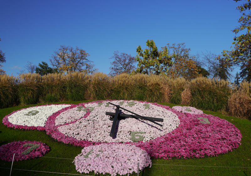 Horloge fleurie de Genève