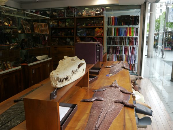 L'intérieur de la boutique