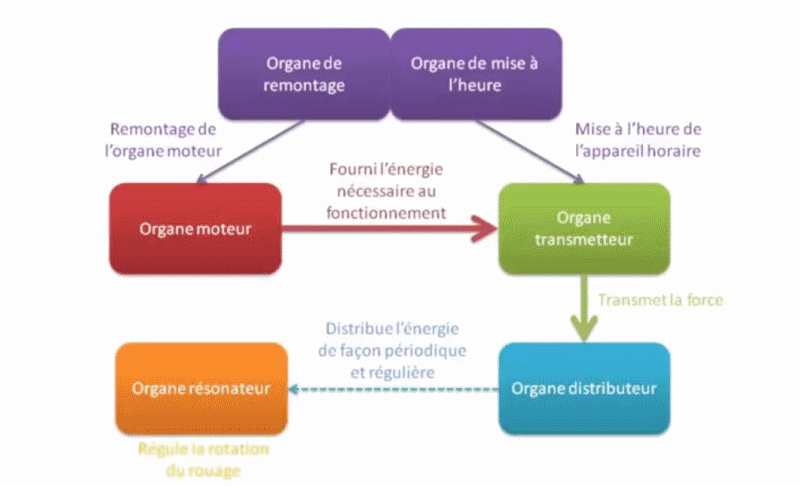 Les différents organes dun mouvement horloger