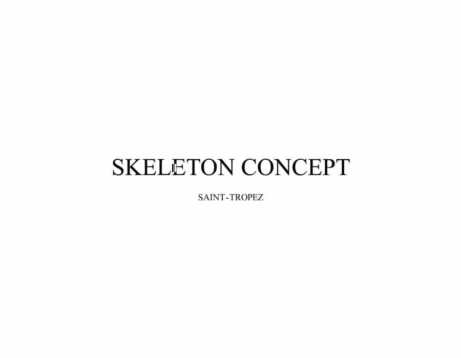 SKELETON-CONCEPT2